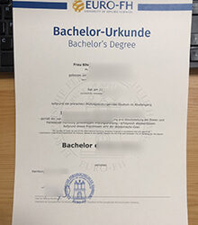 One of the best ways to replace an Euro-FH Urkunde