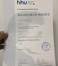 Procedure for Replacing Lost Heinrich-Heine-Universität Düsseldorf Urkunde