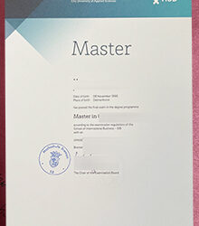 Substitute for Hochschule Bremen Urkunde