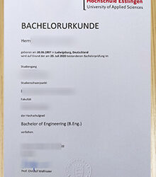Hochschule Esslingen Urkunde sample 2026