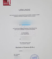 What to do if lost: Replacement Hochschule Landshut Urkunde
