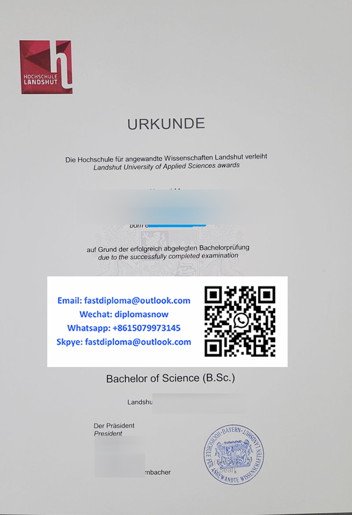 Hochschule Landshut Urkunde