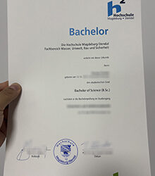 Hochschule Magdeburg-Stendal Urkunde: Long-term archiving – backup copies