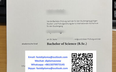 Offer IU Internationale Hochschule Urkunde und Zeugnis sample