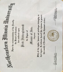 Northeastern University of Illinois diploma quick backup