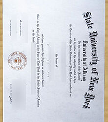 Lost SUNY Albany degree affect employment?