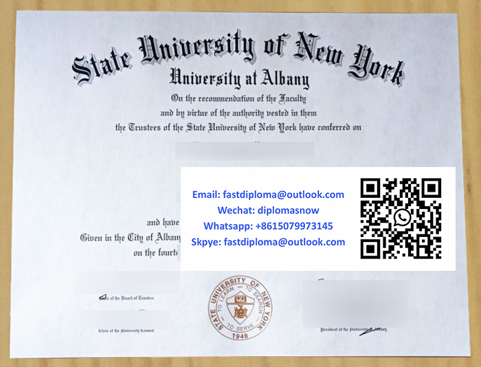 SUNY Albany degree sample