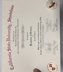 Riding the Waves: The Exceptional Competitiveness of a Stan State Degree