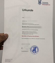 THGA Urkunde sample 2026