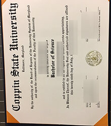 Fast replacement of Coppin State University degree