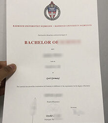 Employment conversion rate of Radboud University Nijmegen degree