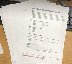 Radboud University Nijmegen diplomasupplement sample 2026