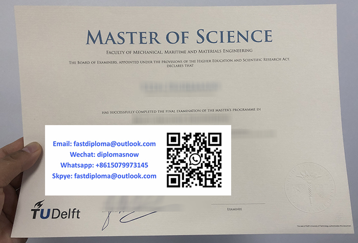 TU Delft diploma TU Delft diploma