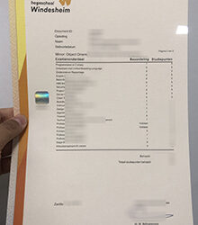 Windesheim transcript from Netherlands