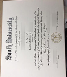 Where to buy a South University diploma online?