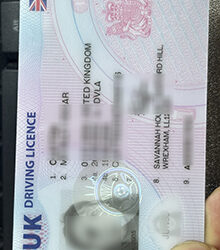 UK Driving Licence sample
