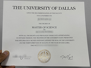 How a University of Dallas degree can help international students take off in their careers