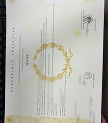 Lumière University Lyon 2 Master diploma from France