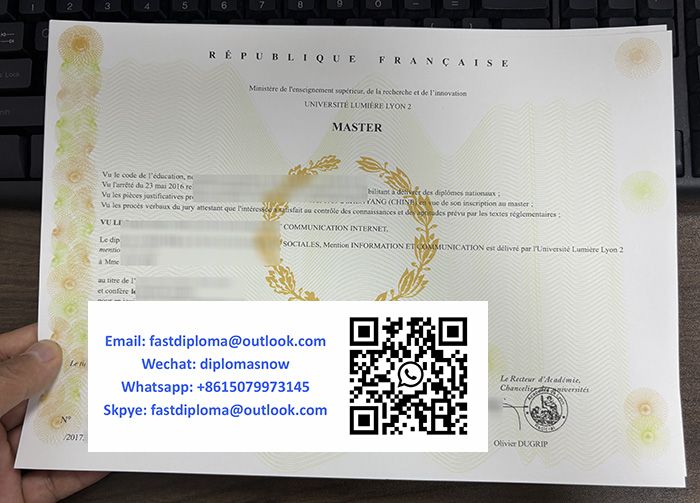 Lumière University Lyon 2 Master diploma
