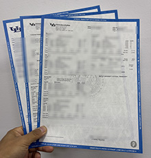 100% Copy University at Buffalo transcript online