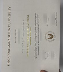 Superb tips about making Singapore Management University degree