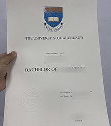 The practical guide to get University of Auckland degree
